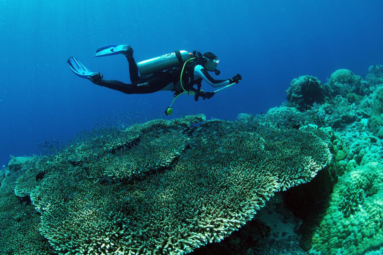 Murex Dive Resort Manado Bagian luar foto